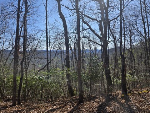 Land, Cullowhee, NC