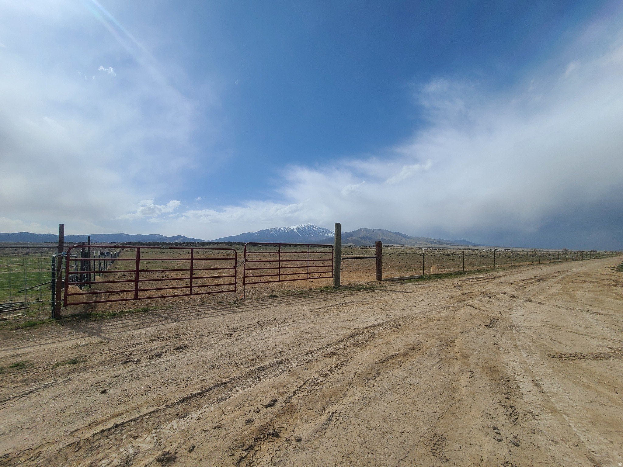 20 Acres Agricultural Land