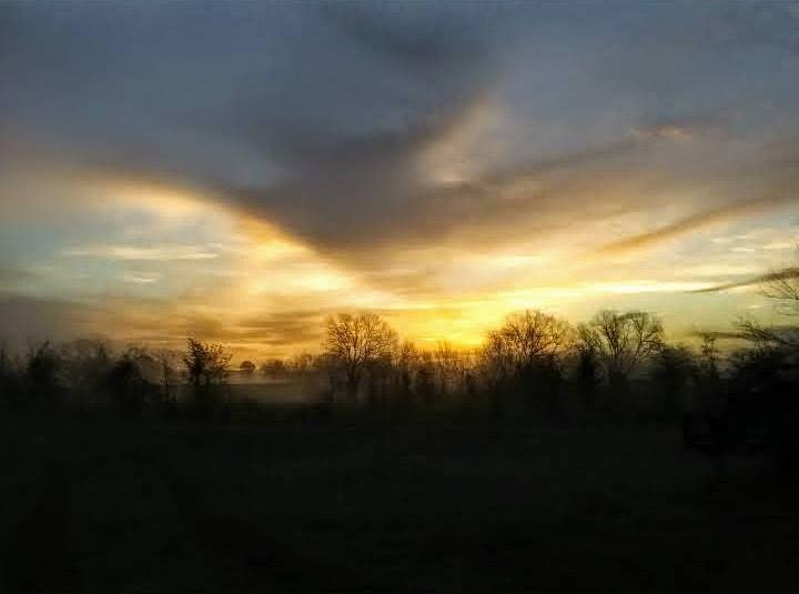 Picture 20