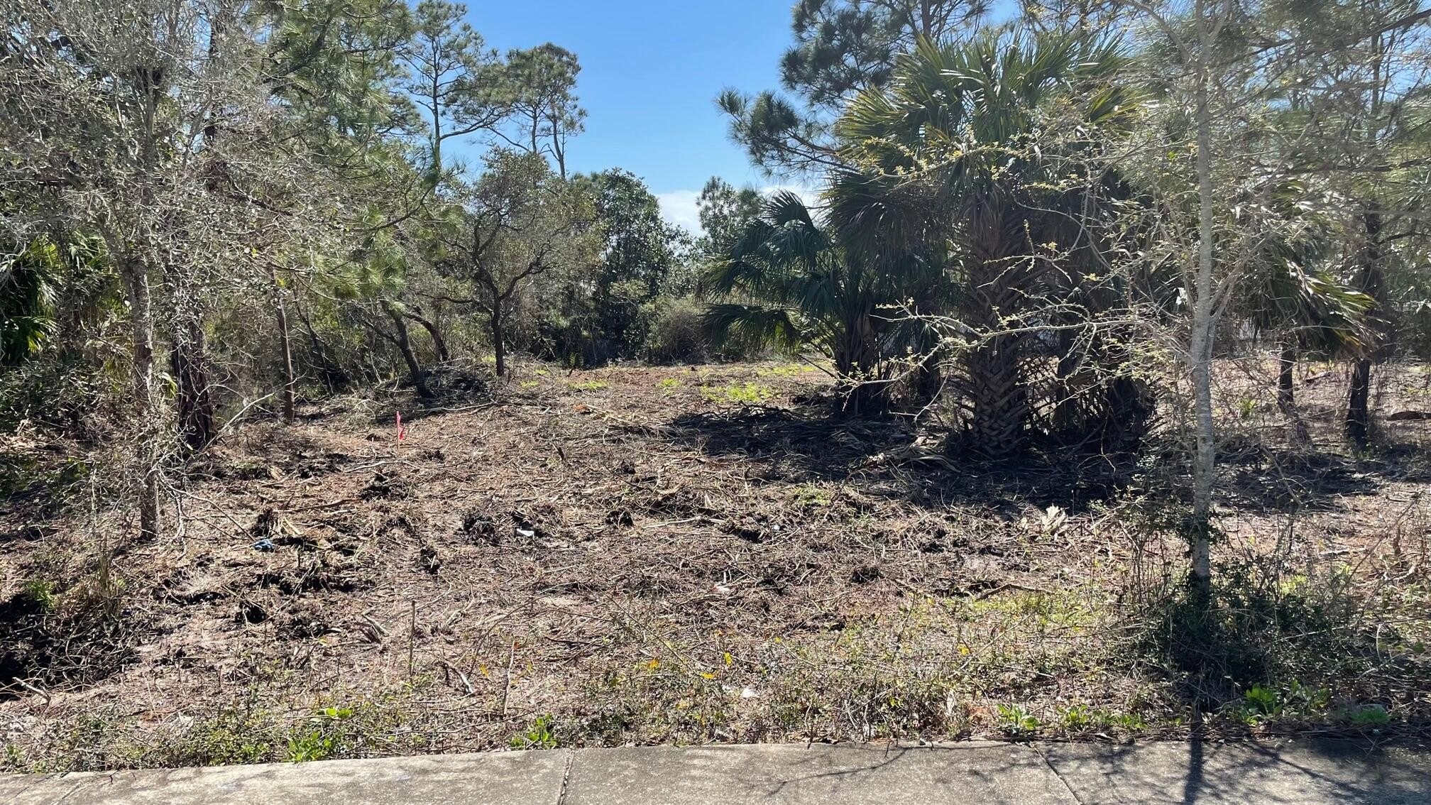 Land Near Gulf of Mexico