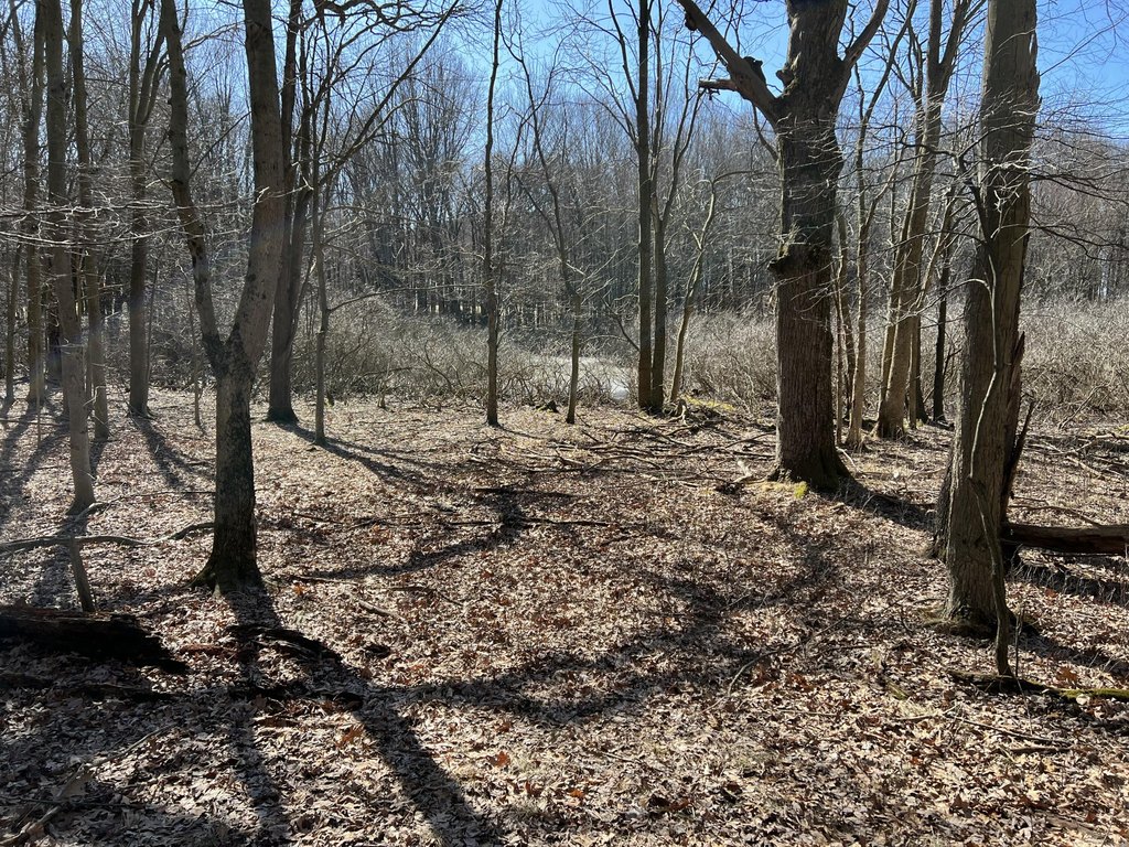 Picture 23
