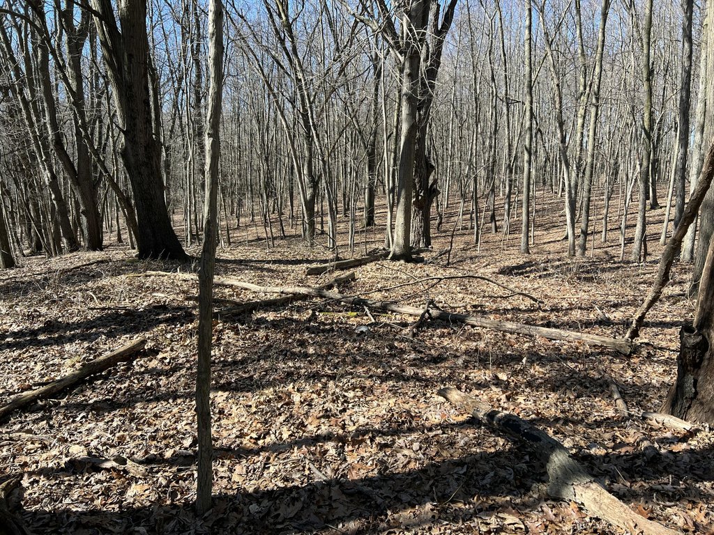 Picture 21