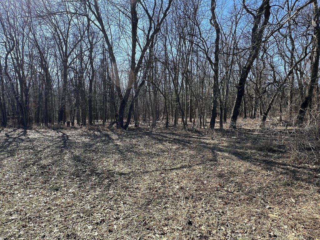 Picture 42