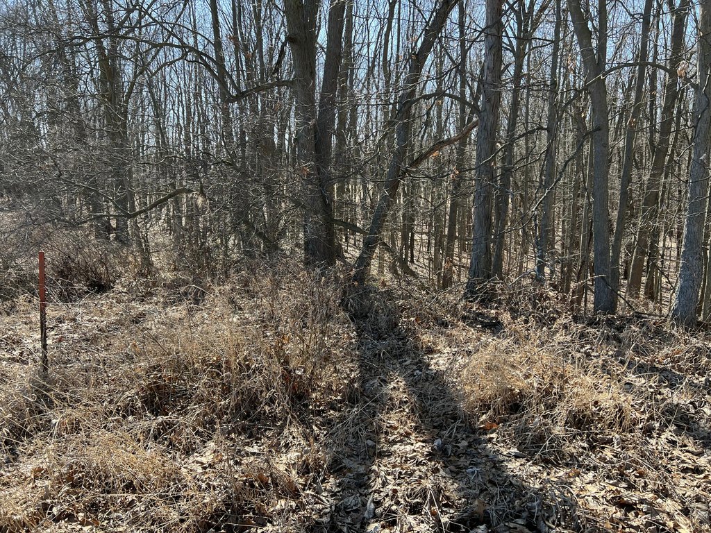 Picture 10