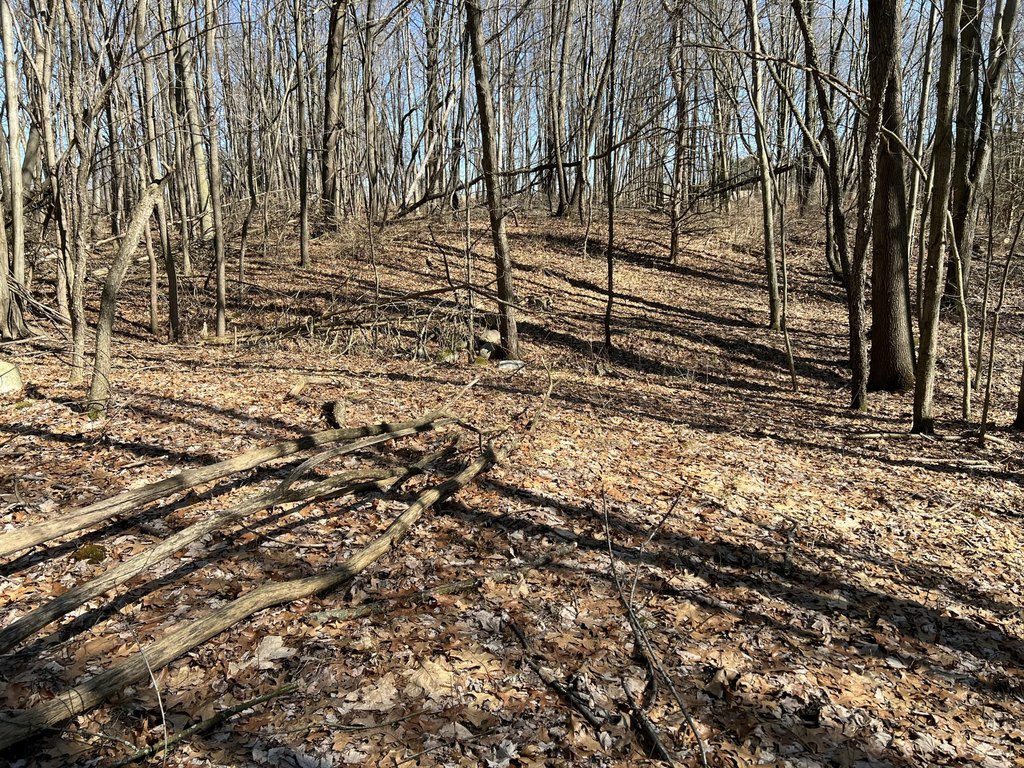 Picture 18