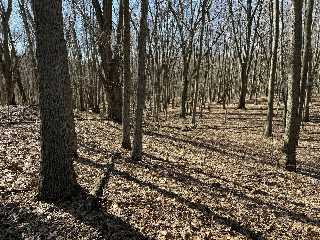 Picture 30