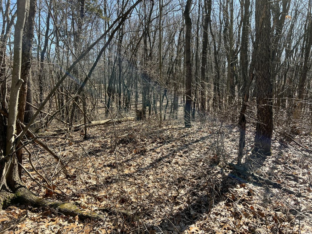 Picture 15