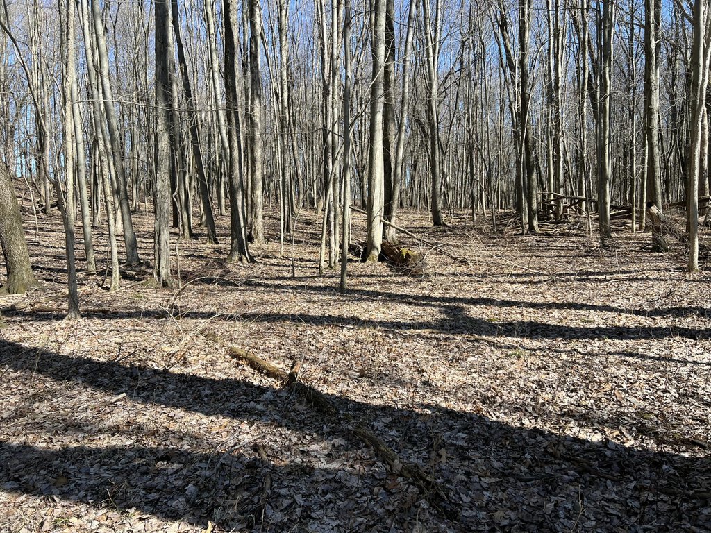 Picture 25
