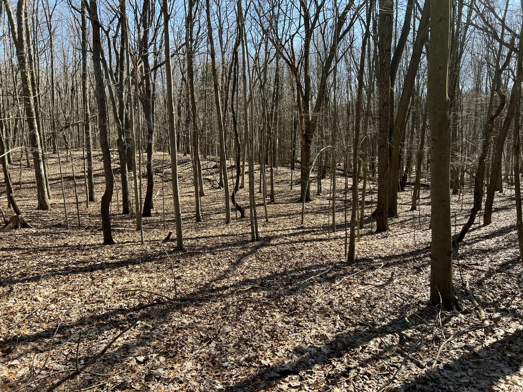 Picture 29