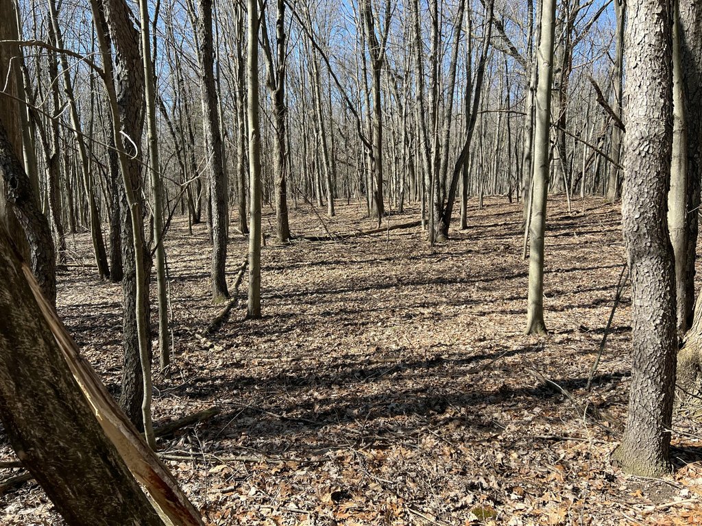 Picture 19