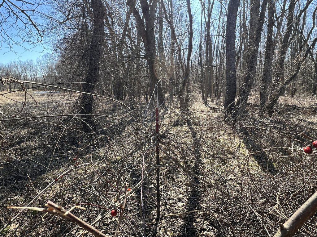 Picture 38