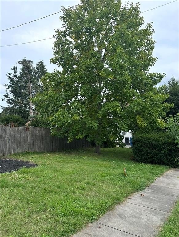Picture 4