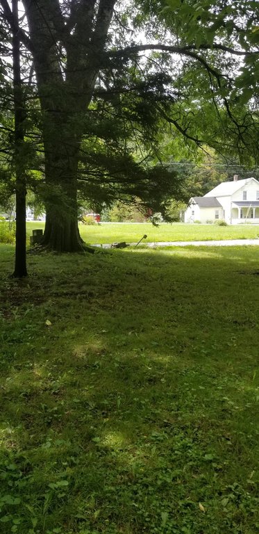 Picture 5