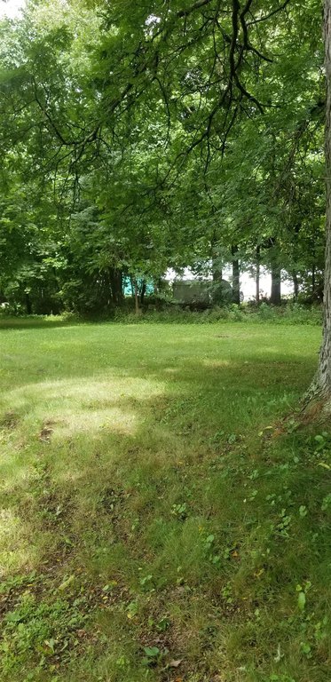 Picture 4