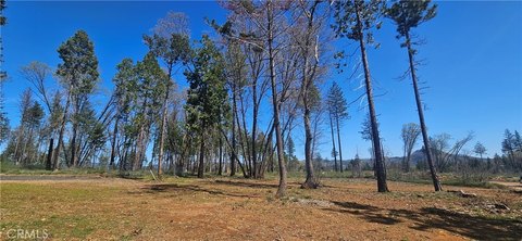 Residential Land in Peaceful Neighborhood