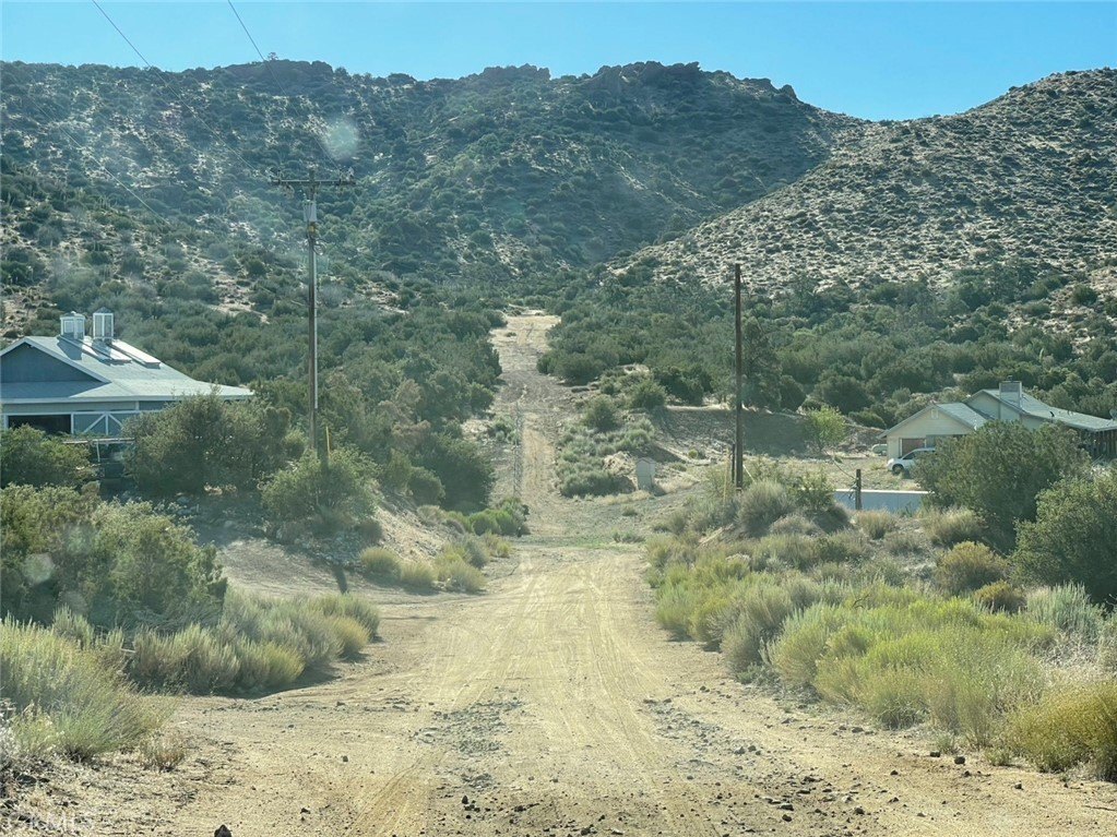 Picture 5