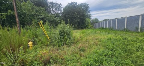 Forsyth County Land Auction Opportunity