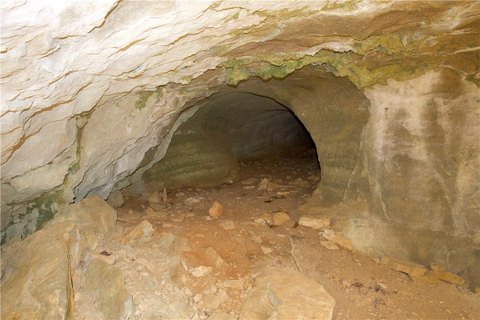 98 Acres of Ozark Beauty