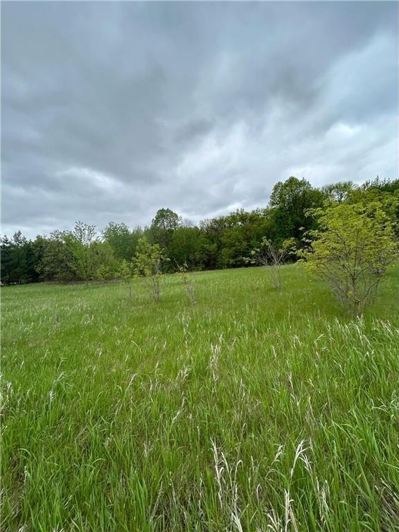 Land on Crow Wing River