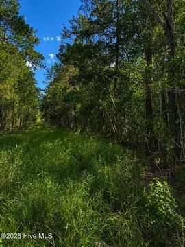 Wooded Recreational Land Parcel