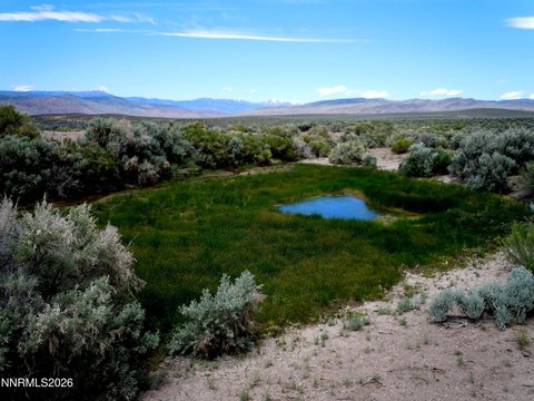 Patented Mining Land
