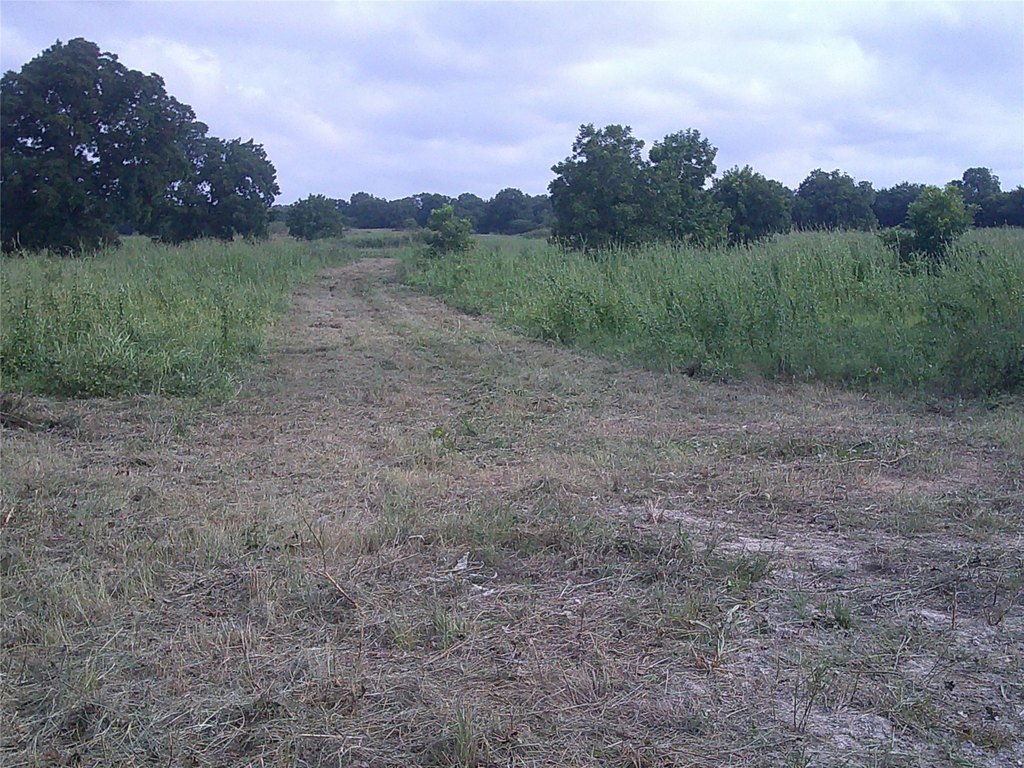 Picture 7
