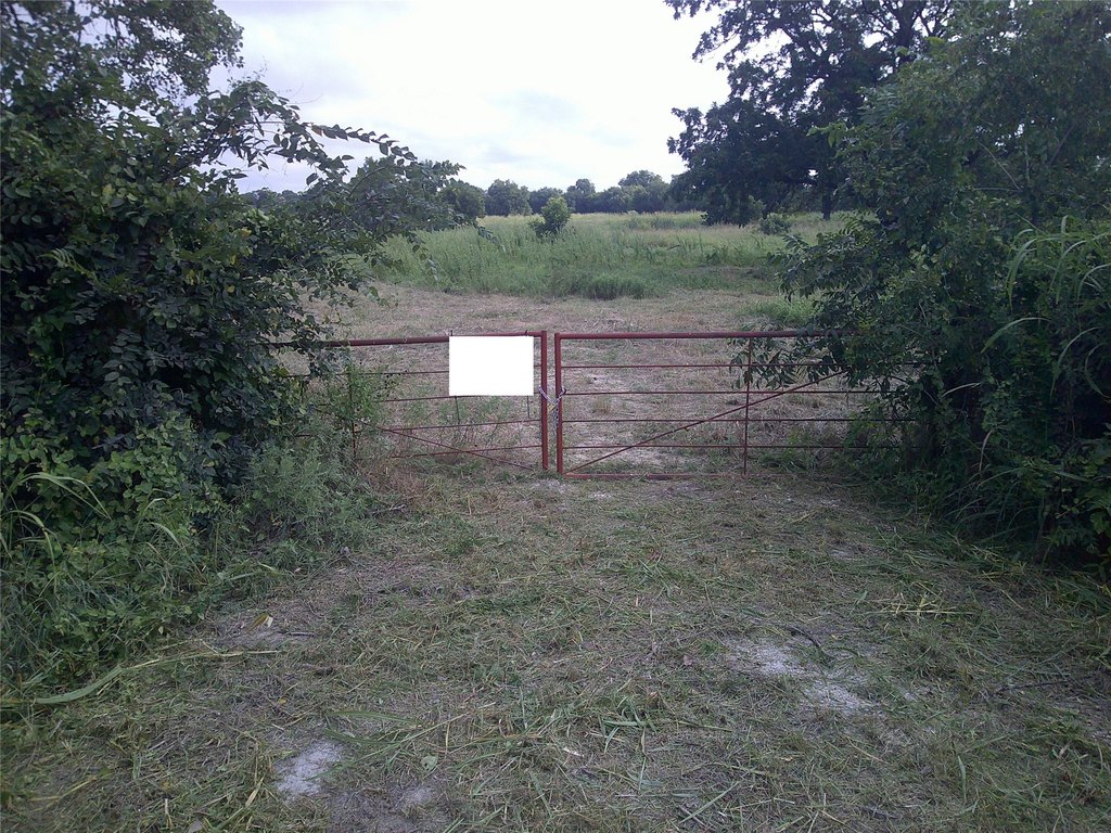 Picture 9