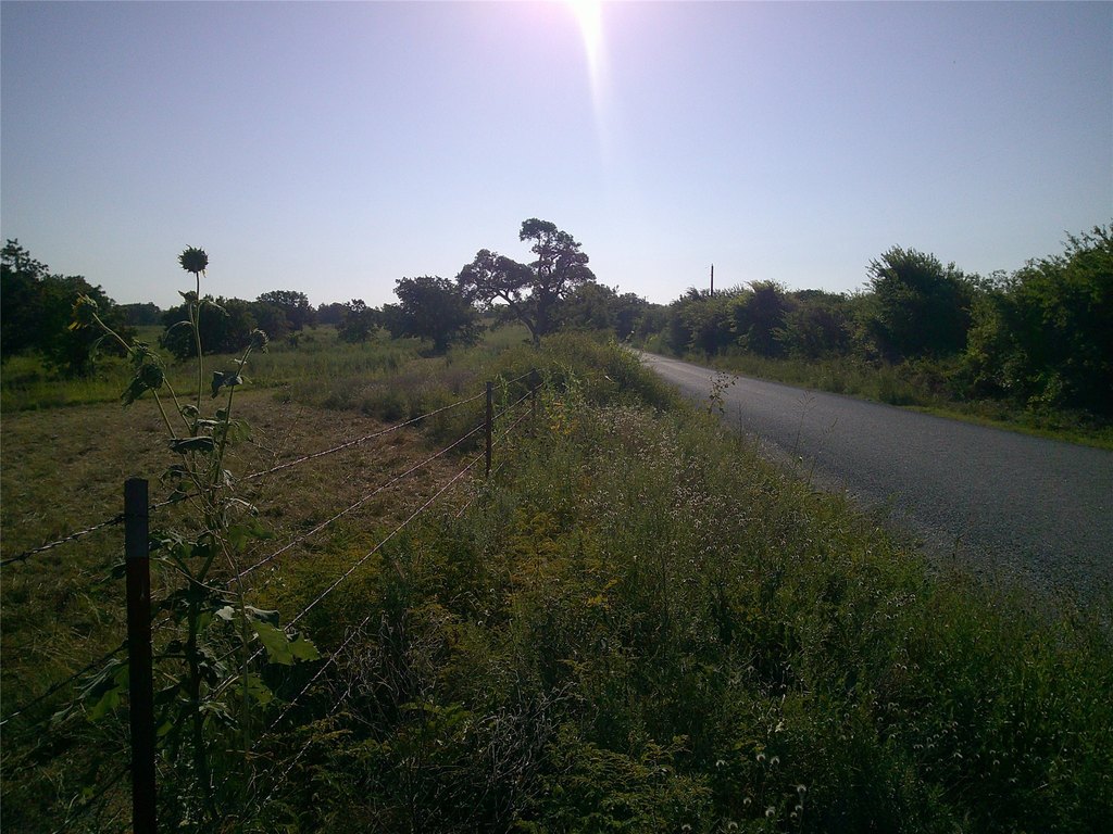 Picture 11