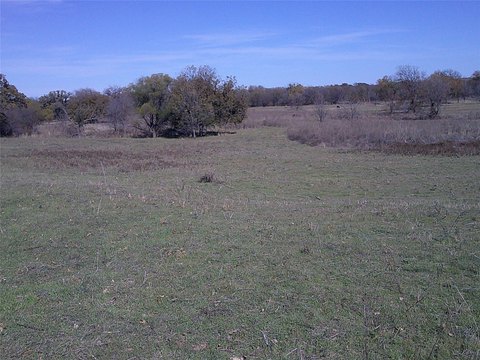 Bowie, TX Land with Pecan Trees