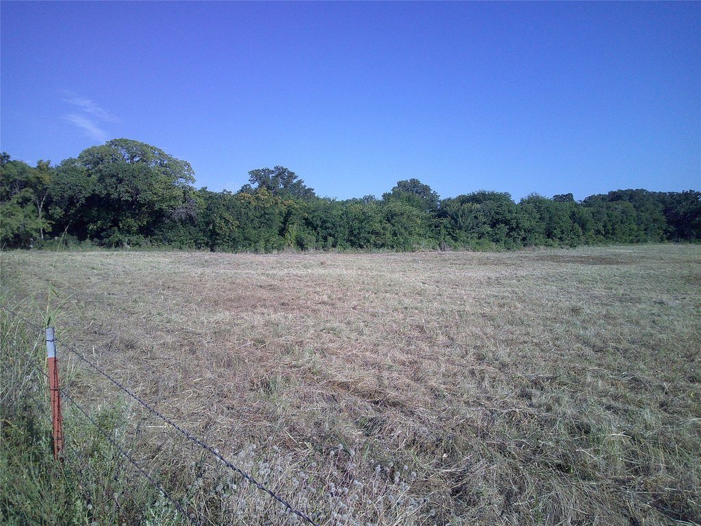 Picture 12