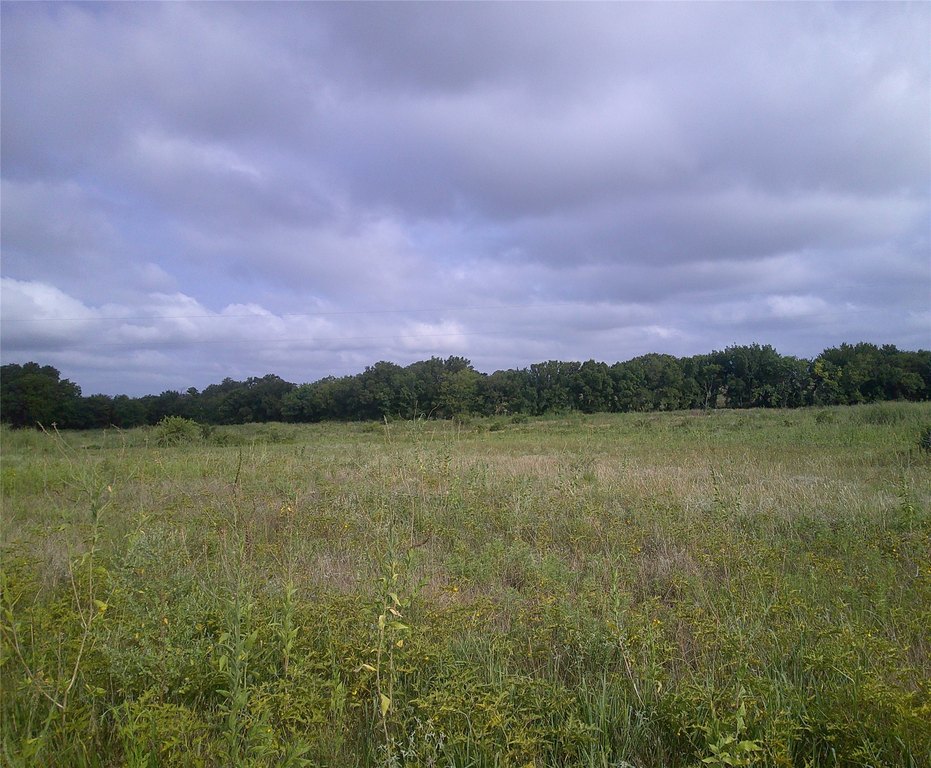 Picture 8