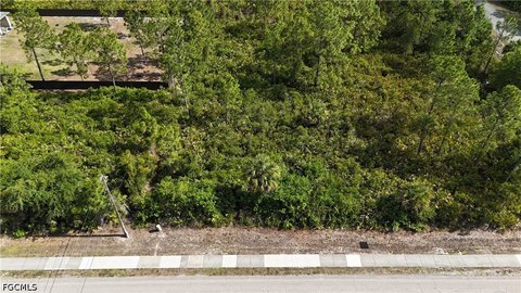 Residential Lot Near Williams Park