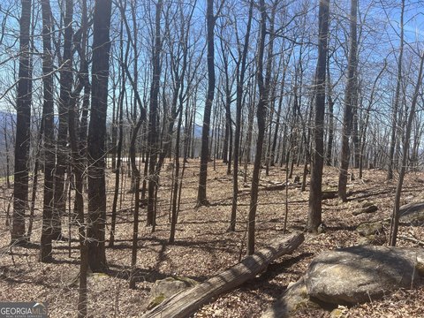 Lake Laceola Land for Sale