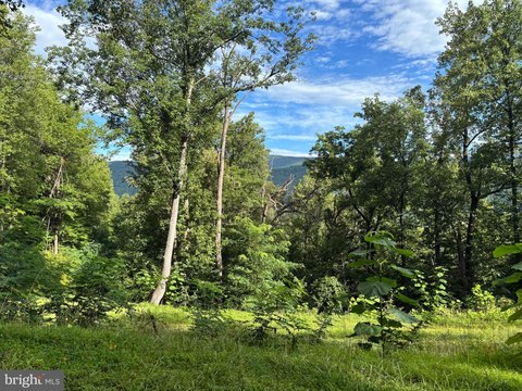 Land, STANARDSVILLE, VA