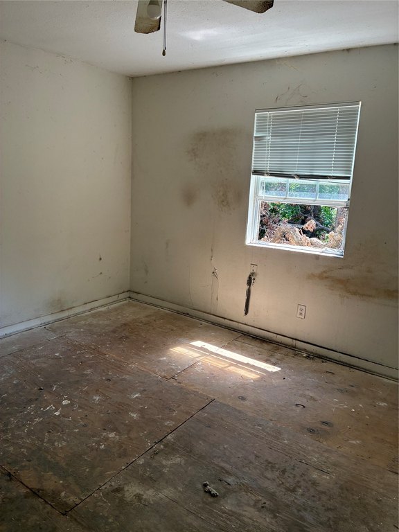 Picture 8