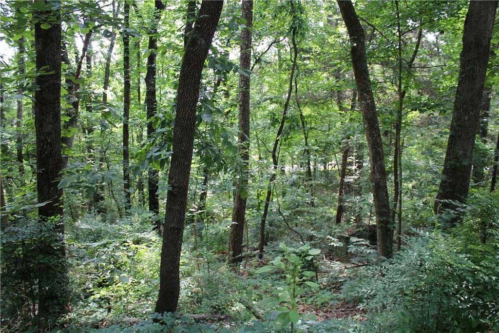Picture 8