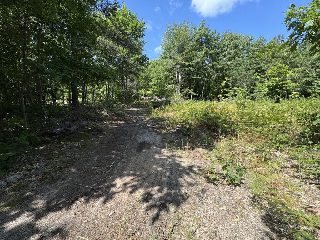 Picture 4