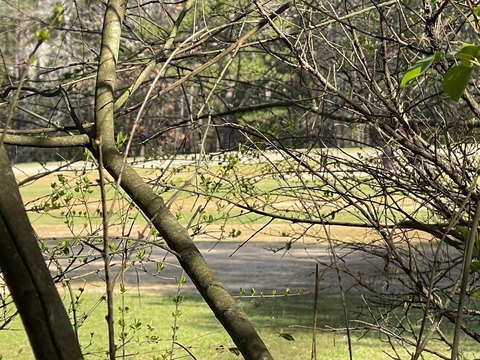 LAND - Fairfield Bay, AR