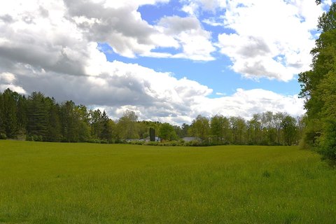 Prime Land in Frankford, WV