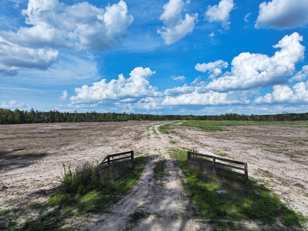 Picture 32