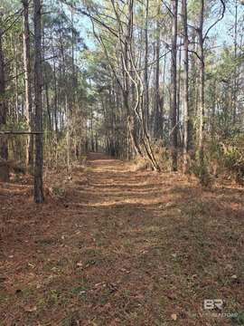 Land, Castleberry, AL