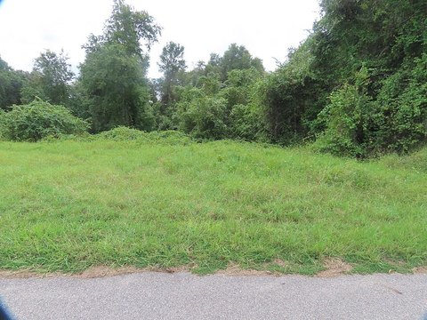 Land, WINTER GARDEN, FL