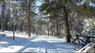 Picture 31