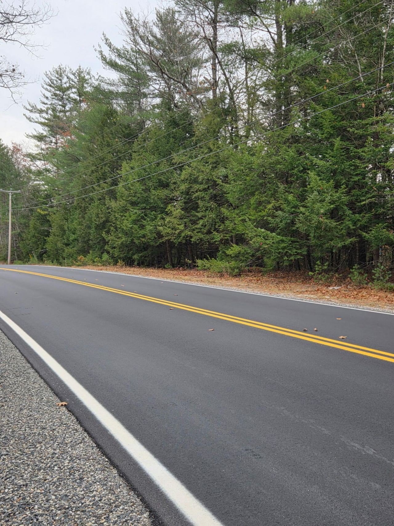 Wooded Lot Near Sebago Lake