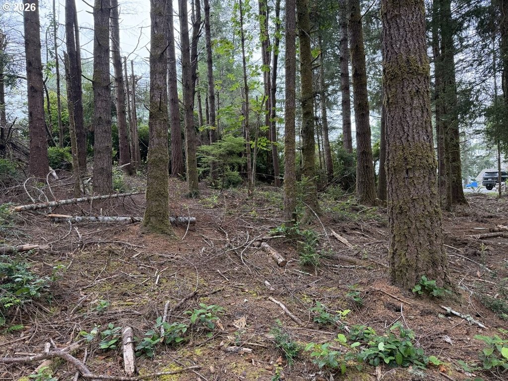 Picture 17