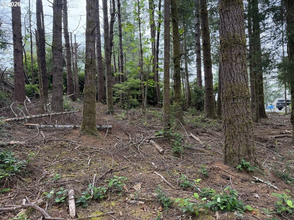 Picture 18