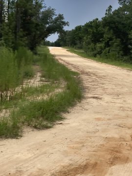 Wooded Lot Near Compass Lake