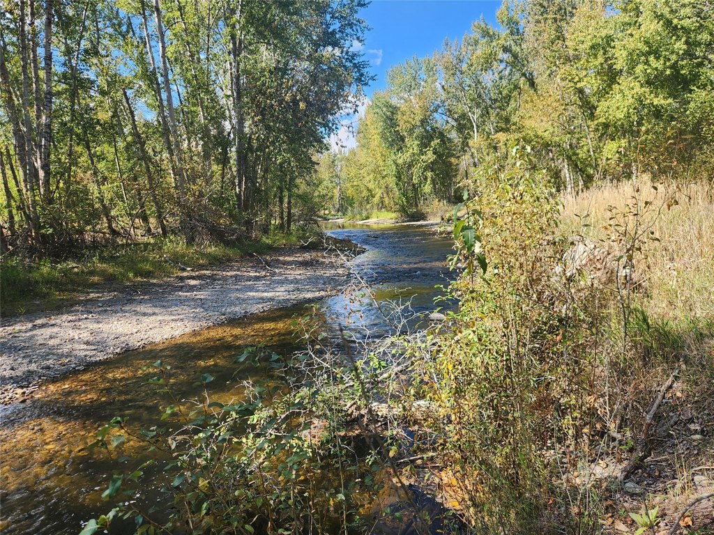 Picture 36