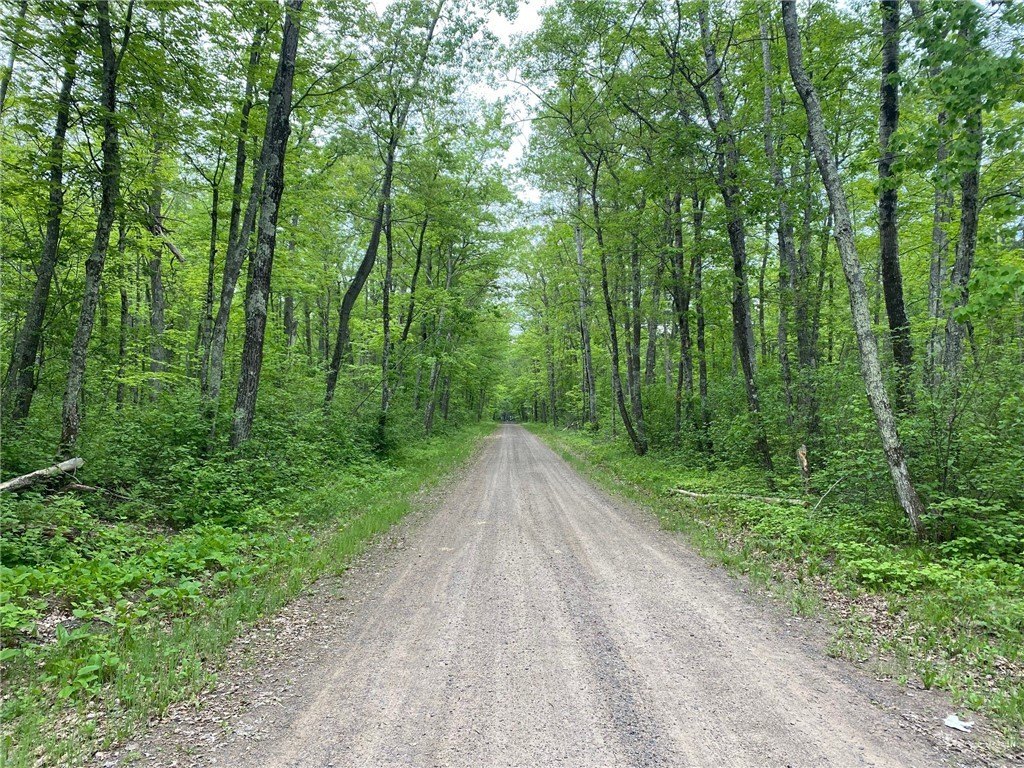 Wooded Corner Lot Near Lake