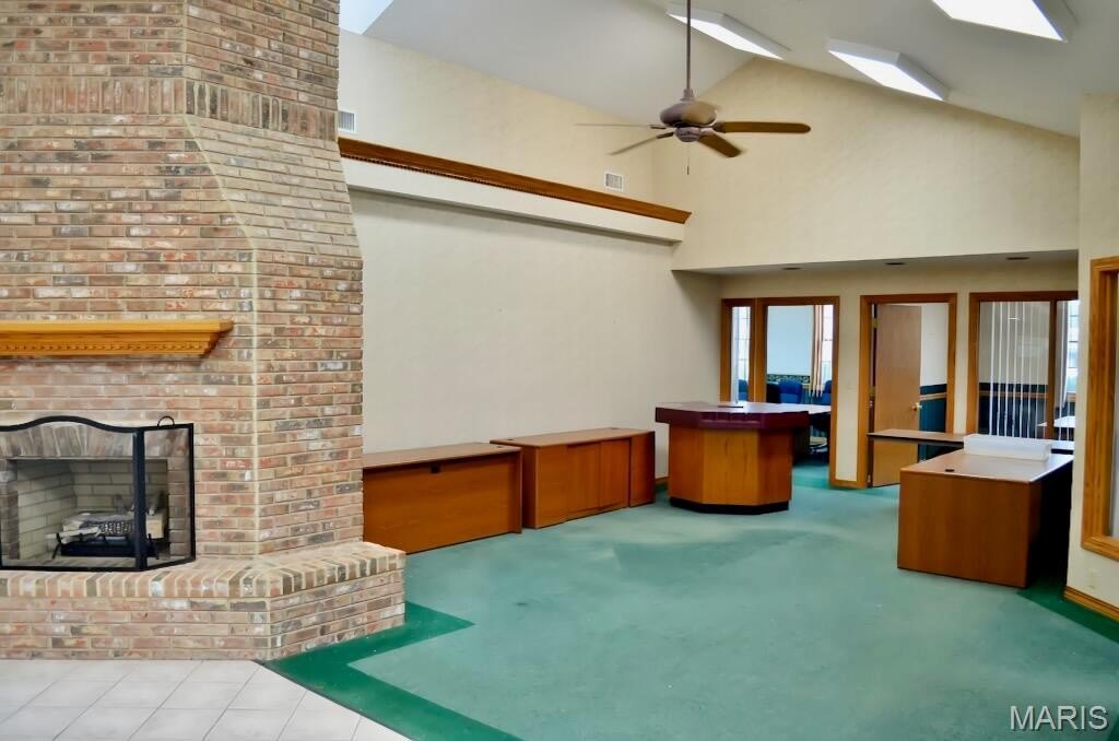 Picture 6